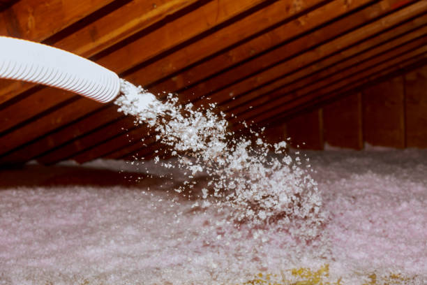 Best Geographic-Specific Insulation Services in Riverwoods, IL